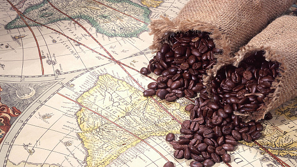 Как выбрать зерновой кофе: Арабика или Робуста?