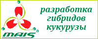 Компания МАИС - производство семян кукурузы