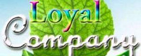 Товары детской безопасности Loyal Company